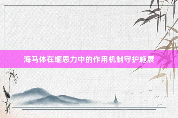 海马体在缅思力中的作用机制守护施展